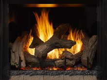 Load image into Gallery viewer, Phoenix TrueView Fireplace